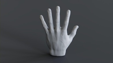 3d mano arte scultura corpo umano dita miscelatore cicli stampabile scolpire realistico pelle toccare sculture casa arredamento anatomia scienza biologia 3d print model - Mito3D