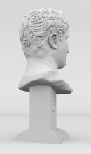 3d julius caesar model art head face school painter antique antiquity character gypsum bust sculpture statue printable sculptures 3d print model - Mito3D