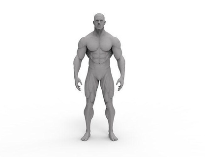 3d male bodybuilder character model man actor movie muscle anatomy body art sculptures 3d print model - Mito3D