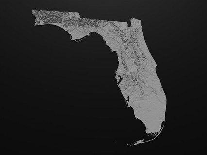 3d harita model durum Florida Yazdır Amerika Birleşik Devletleri us eyaletler Rahatlama topografik uydu arazi hobi kendin yap 3d print model - Mito3D