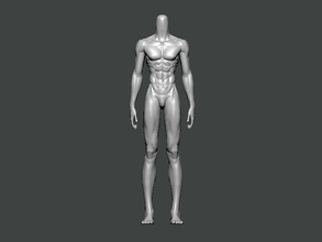 3d model anatomy0003 humain torse anatomie personnage corps science femelle tête masculin médical visage crâne ordinaire colonne vertébrale animal squelette hôpital docteur squelettique art 3d print model - Mito3D
