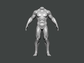 3d model anatomy0007 insan vücut anatomi karakter bilim kadın baş erkek tıbbi kafatası omurga hayvan iskelet kişi hastane göz doktor sanat 3d print model - Mito3D