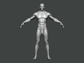 3d model anatomy0009 anatomía personaje humano cuerpo Ciencias hembra cabeza masculino médico cara cráneo normal espejo Arte 3d print model - Mito3D