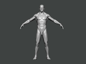 3d model anatomy0010 insan vücut anatomi karakter bilim kadın baş erkek tıbbi kafatası omurga hayvan iskelet kişi hastane göz doktor sanat 3d print model - Mito3D
