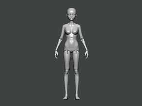 3d model anatomy0011 weiblich zahl anatomie charakter körper wissenschaft kopf männlich medizinisch gesicht schädel wirbelsäule tier skelett person krankenhaus auge arzt kunst 3d print model - Mito3D