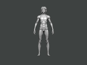 3d model anatomy0014 anatomi karakter insan vücut Bilim kadın baş erkek tıbbi kafatası normal aynasal Sanat 3d print model - Mito3D