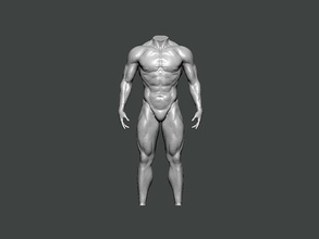 3d model anatomy0015 männlich mannequin anatomie charakter körper wissenschaft weiblich kopf medizinisch gesicht schädel wirbelsäule tier skelett person krankenhaus auge arzt kunst 3d print model - Mito3D