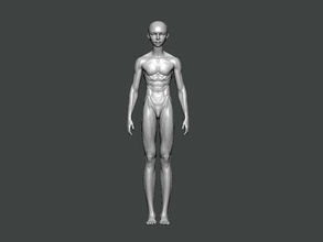3d model-anatomy0017 anatomy character human body science female head male medical face skull normal specular art 3d print model - Mito3D
