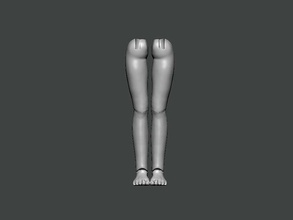 3d model anatomy0019 anatomie charakter körper wissenschaft weiblich kopf männlich medizinisch gesicht schädel wirbelsäule tier skelett person krankenhaus auge arzt kunst 3d print model - Mito3D