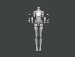 3d model anatomy0021 hembra maniquí anatomía ciencias personas ilustración hombre mujer arte monocromo fisiología personaje cuerpo científico química citoplasma 3d print model - Mito3D