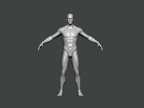 3d model anatomy0025 masculin mannequin anatomie personnage humain corps science femelle tête médical visage crâne colonne vertébrale animal squelette hôpital œil docteur squelettique art 3d print model - Mito3D