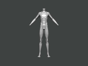 3d model anatomy0026 erkek manken anatomi karakter insan vücut bilim kadın baş tıbbi kafatası omurga hayvan iskelet kişi hastane göz doktor sanat 3d print model - Mito3D