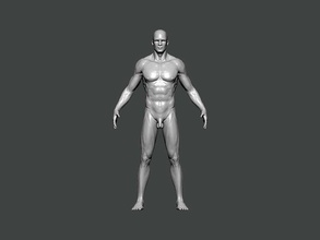 3d model anatomy0027 männlich körper anatomie charakter wissenschaft weiblich kopf medizinisch gesicht schädel wirbelsäule tier skelett person krankenhaus auge arzt kunst 3d print model - Mito3D