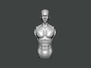 3d model anatomy0028 humano torso anatomía personaje cuerpo ciencias hembra cabeza masculino médico cara cráneo columna vertebral animal esqueleto persona hospital ojo esquelético arte 3d print model - Mito3D