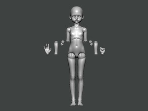 3d model anatomy0031 anatomia personagem humano corpo Ciência fêmea cabeça masculino médico cara crânio coluna animal esqueleto pessoa hospital olho esquelético arte 3d print model - Mito3D