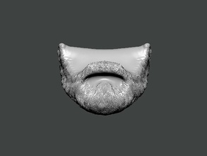 3d model beard0001 zähne mund zahnheilkunde kiefer zahn auge isoliert grusel wissenschaft hai emaille anatomisch weiß brillen anatomie schädel molar dentin kunst 3d print model - Mito3D