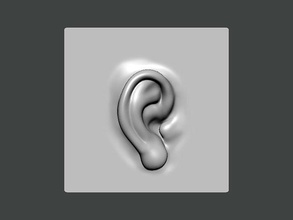 3d model ear0001 orecchio illustrazione alfabeto design tipografia simbolo disgiunto astratto arte immagine acciaio scienza font linguaggio vettore balon tipografico comporre bottaio errore battitura diritto d'autore 3d print model - Mito3D