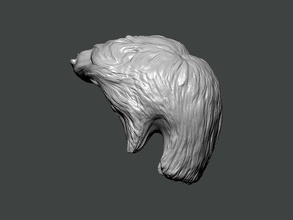 3d model-hair0005 anatomy physiology people monochrome science dark pain square art horror character body 3d print model - Mito3D