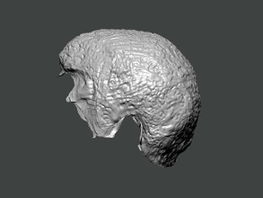 3d model-hair0027 human head hair woman girl beauty anatomy face salon hairstyle shampoo barber cheveux body science cosmetic conditioner health hairdresser deodorant hairspray art 3d print model - Mito3D