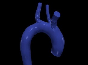 3d modelo of aorta anatomía cuerpo ciencias medicamento organo aórtico arco ascendente cardiovascular sistema biología 3d print model - Mito3D