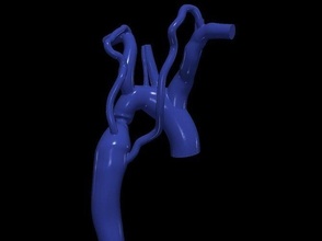 3d model aort anatomi vücut Bilim ilaç organ kemer yükselen kardiyovasküler Biyoloji 3d print model - Mito3D
