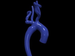 3d modelo aorta anatomía cuerpo Ciencias medicamento Organo aórtico arco ascendente cardiovascular biología 3d print model - Mito3D