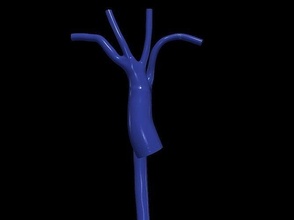 3d modèle of aorte anatomie corps science médicament organe aortique cambre ascendant cardiovasculaire système biologie 3d print model - Mito3D