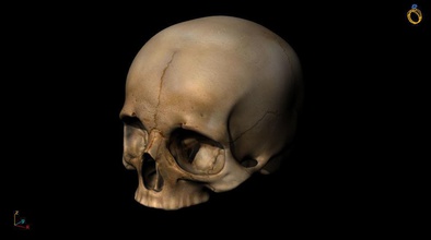 mandíbula cráneo 3d modelo hueso horror anatomía víspera santos miedo cabeza ciencias humano tumba arte escultura escalofriante muerto lápida sepulcral esqueleto cementerio personaje 3d print model - Mito3D