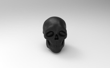 3d model skull without holes head art people man monochrome statue sculptures 3d print model - Mito3D