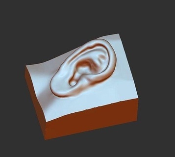 3d imagen oído modelo descargar humano biológico filigrana hd Arte esculturas 3d print model - Mito3D