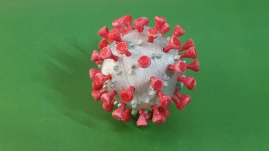 3d drucken modell of covid 19 covid virus corona coronavirus ansteckend krankheit leuchtenden nasopharyngeal syndrom wuhan aufwendig natur flora wissenschaft biologie kind kinder konstrukteur kit diy kunst skulpturen 3d print model - Mito3D