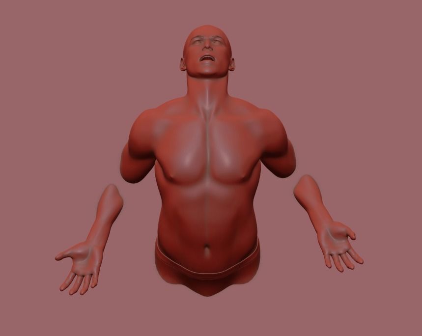 3d impression sculpture muscle musculation corps art mathématique 3D print model - Mito3D