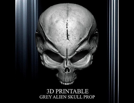 3d imprimible gris extraterrestre cráneo apuntalar greyalia decoración ciencia fi criatura réplica misterioso especulativo anatomía coleccionable sobrenatural ovni artefacto escultural ciencias biología 3d print model - Mito3D