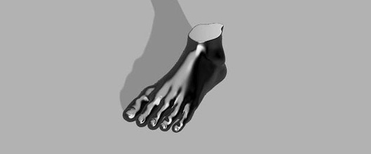 3d stampabile modello piede corpo dito donna uomo anatomia scienza astronomia fisica 3d print model - Mito3D