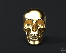 3d printable skull - rc human head anatomy skeleton dead bone teeth silver science gold decorative print death art sculptures 3d print model - Mito3D