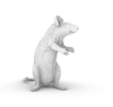3d impressora pequeno rato animal modelo roedor jogos brinquedos 3d print model - Mito3D