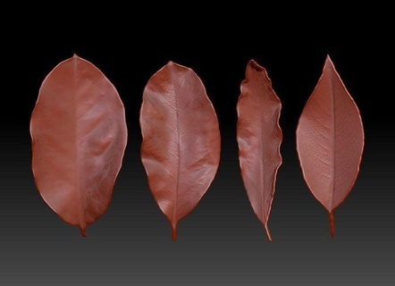 3d impresión hojas marchito otoño hoja escultura Arte 3d print model - Mito3D