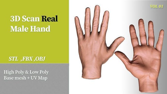 3d Varredura real masculino mão 01 ativos anatomia dedos humano extremidades unhas braços corpo mãos arte esculturas fêmea dedo unha braço brad pulso tosquiadeira varreduras réplicas 3d print model - Mito3D