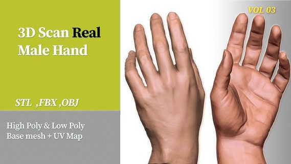3d scan real male hand vol 03 3d printing photogrammetry scanning character male hand scanner 3dscan highpoly lowpoly health medicine gameassets game assets art scans replicas scans replicas male character character game game character  3d print model - Mito3D