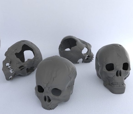 4 human skulls print printed skull anatomic realistic detailed anatomy head medical science biology 3d print model - Mito3D