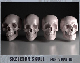 4 squelette crâne impression personnage tête Humain anatomie anime casque bijoux OS corps médical science 3d print model - Mito3D