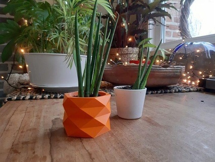 6 geometric flowerpots flowerpot plant flower pot decor 3dprint house 3d print model - Mito3D