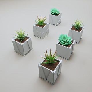 6 Quadrat Vasen Pflanze Dekor Dekoration Innere Blume Topf Design Haus dekorativ 3d print model - Mito3D