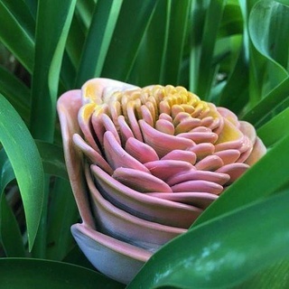 95 petalo fiore amore pianta natura foglia fiori vaso botanico albero petali mazzo decorazione floreale giardino arte matematico 3d print model - Mito3D
