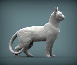abissino gatto animale mammifero selvaggio domestico gattino natura scultura statuetta souvenir 3d Stampa modello arte sculture 3d print model - Mito3D
