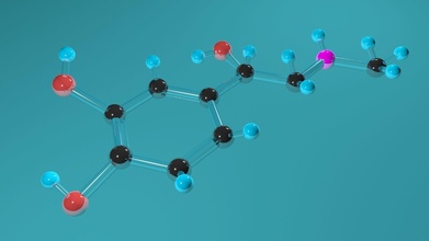 adrenalin atom moleküler kimya kimyasal ilaç Bilim ilmi epinefrin molekül hormon tedavisi nöron Biyoloji biyokimya laboratuar tıbbi 3d print model - Mito3D