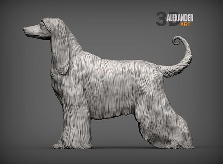 afgano segugio cane natura mammifero animale domestico scultura statuetta souvenir presente 3d Stampa modello scolpire sculture stampabile arte 3d print model - Mito3D