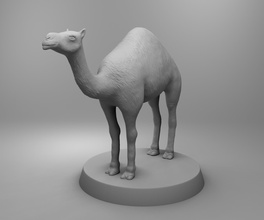 african camel wild nature animals safari printing 3d 3dprintmodel science biology 3d print model - Mito3D