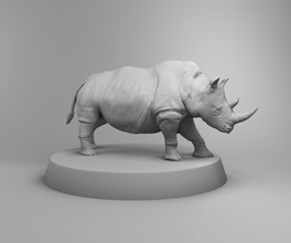 africano rinoceronte selvagem animal natureza predador África 3d impressão 3dprintmodel Ciência biologia 3d print model - Mito3D