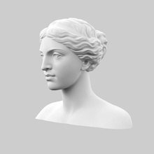 afrodita testa ritratto statua scultura donna viso arte marmo sculture 3d print model - Mito3D